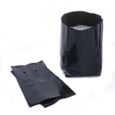 Plântula plástica que planta sacos com os instrumentos das clínicas da emergência dos furos