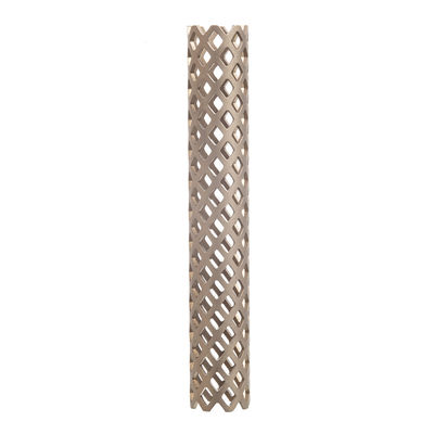 Titânio espinal Mesh Cage For Spine Surgery dos implantes ortopédicos