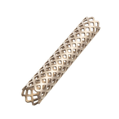 Titânio espinal Mesh Cage For Spine Surgery dos implantes ortopédicos